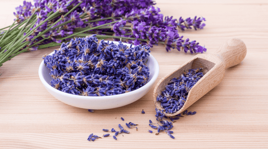 Scent of June: Lavender - Lottie Elizabeth Ltd