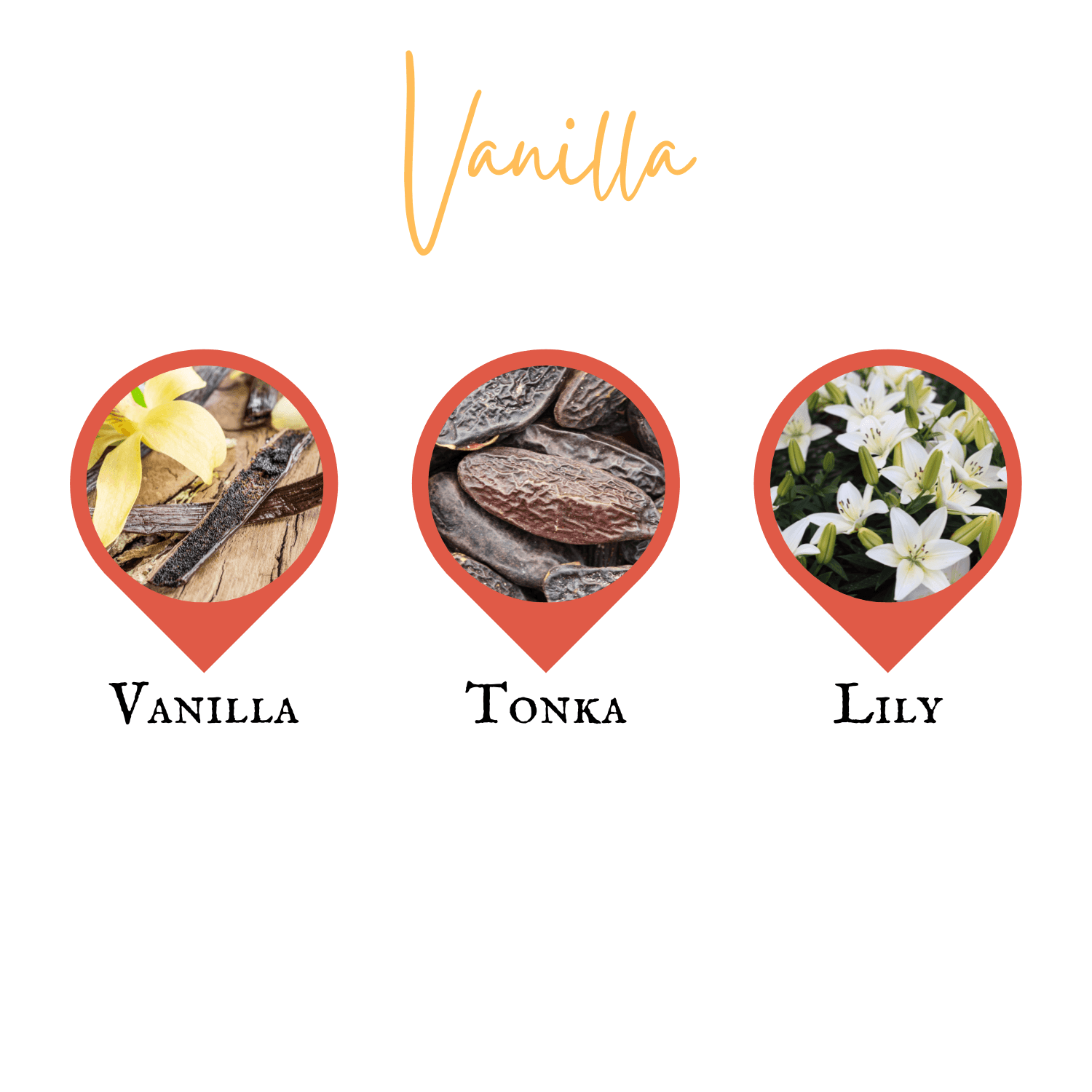 Vanilla | Reed Diffuser | Small - Reed Diffuser - Lottie Elizabeth Ltd
